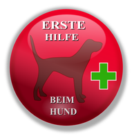 Deutscher Club Für Leonberger Hunde