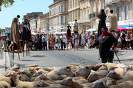 agneau,pauillac,fete,médoc,transhumance,quais,animation,culture,tradition