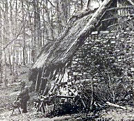 Sabotiers en forêt 