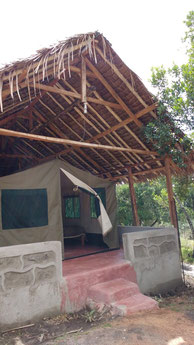 Our excellent tent at the Lenchada tourist camp with Karibu tours, Kenya. Dante Harker