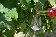 Weinglas und Weinflasche, Foto www.miofoto.de,MiO Made in Oldenburg®