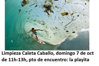 COUP , Beachcleanup, Famara Limpia , Lanzarote, Caleta de Caballo, Surf, Beach, Sun , Fun