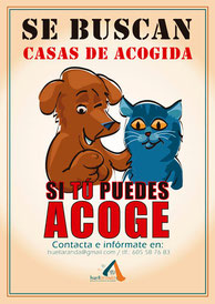 Pinche en el cartel.