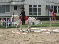 Galopp über Stangen auf dem Turnier