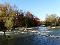 Am Flaucher - Isar München / Foto Heidrun Langer