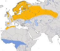 Karte zur Verbreitung des Trauerschnäppers (Ficedula hypoleuca)