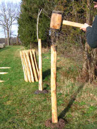 Pfähle einrammen mit dem Holzhammer.....