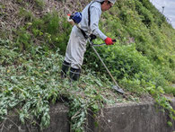 毎年依頼がある草刈りの様子