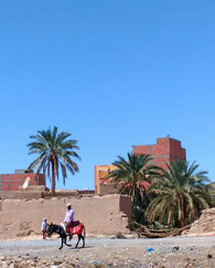 モロッコの田舎町リッサニ/モロッコ青い街シャウエン在住Mikaのブログ