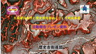 大成建設自然と歴史環境基金２０１９助成事業