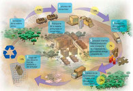 REPUESTOS PRODUCTOS NATURA, CALI, COLOMBIA