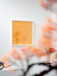 Reflection 琥珀 600:Amber