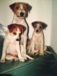 Aennchen mit links Alaska und rechts Annabell