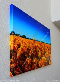 Beispiel Leinwandbild Übernatur