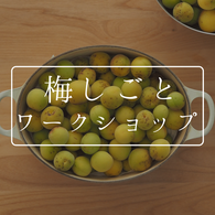 季と和味噌仕込みワークショップのリンクボタン