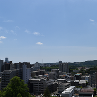 東北大学器官解剖学