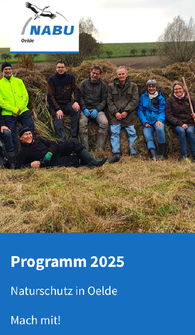 Das Jahresprogramm zum Download