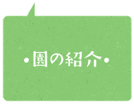 ココロ保育園の紹介