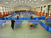 Optimale Trainingsbedingungen beim HTTC 09 Wernigerode e.V.