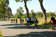 agneau,pauillac,fete,médoc,cycliste,randonnée,festif,animation