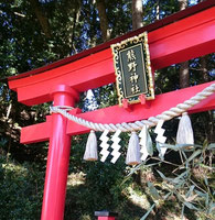 ~謹賀新年~