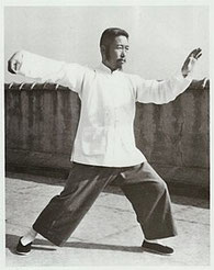 Tai Chi class in Ashbourne, teaching beginners, seniors and experienced practitioners. Tai Chi instructor with over 20 years experience