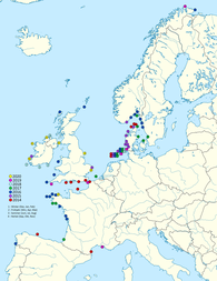 Karte zu den Beobachtungen von Schwarzbrauenalbatrossen von 2014-2020 in der Nordsee und dem Atlantik