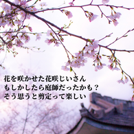 花を咲かせた花咲じいさん もしかしたら庭師だったかも？ そう思うと剪定って楽しい
