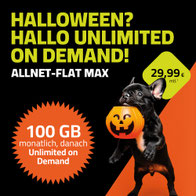 otelo Allnet Flat Max Unlimited on Demand 100 GB