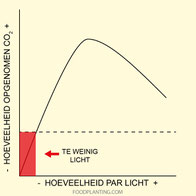energieverbruik planten, minimale hoeveelheid licht