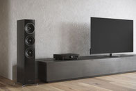 Netzwerk/CD-Receiver von Sonoro, Technics, Marantz, Denon und Kenwood.