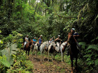 Combo: Caminata Volcán Arenal + Canopy Los Cañones o Cabalgata y Los Lagos Termales