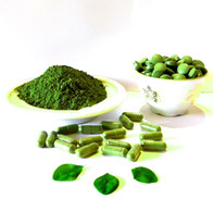 Moringa Pulver Kapseln Tab