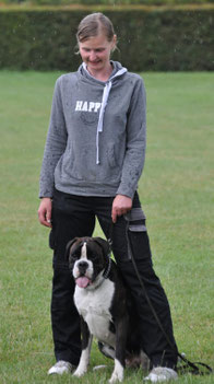 Boxer Hund vonderwaldnielerheide Ausdauerprüfung