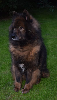 Bounty von Alhera