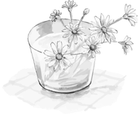 植物と蝋と香り Chouette Botanique シュエットボタニーク 東京 足立 Chouette Botanique 植物と蝋と香り 植物と蝋と香り Chouette Botanique シュエットボタニーク 東京 足立 Chouette Botanique 植物と蝋と香り