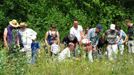 Besucher auf der Suche nach Spinnen im Gras