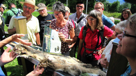 Joachim Schneider zeigte uns auch, wie man die Wildkatze anhand des Fells von der Hauskatze unterscheiden kann, Alle Bilder: Thomas Staab/LBV