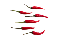 Thailändische frische rote Chilis