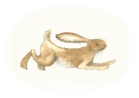 Tiere zu malen ist einfach. Du musst nur wissen, wie du sie schnell aufzeichnen und dann kolorieren und schattieren sollst.