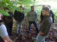 Diskussion im Wald