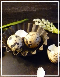 Jahreszeitliche Dekorationen aus Naturmaterialien finden Sie im Laden und auf der Frühlingsausstellung, Weihnachtsausstellung und Offenen Gartenpforte von Sternschnuppe home & garden, Goldwiese 7, 57612 Eichelhardt
