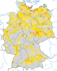 Karte zur Verbreitung der Uferschwalbe in Deutschland