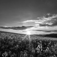 Czech Central Highlands