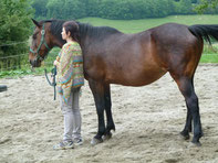 equi-coaching