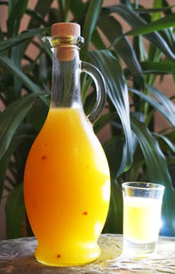 Mango-Likör