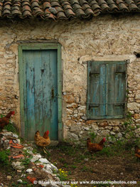 Portes,murs en briques,fenêtre,porte bleu,poules,poulets,toit,tuile