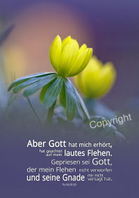 christliche Karten , aber Gott hat mich erhört, gelbe Blume