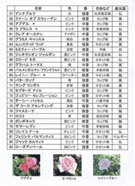 八幡山の洋館 庭園のバラ紹介 57～83 