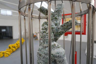 Go to page: The Great Escape of Saint Sebastian